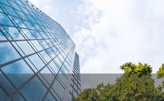 山东辛格化工有限公司